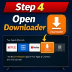 Step 4 Open Downloader